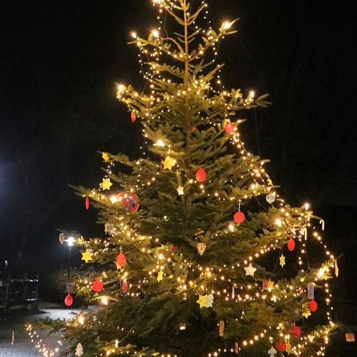 Foto Weihnachtsfenster 13-1 - Weihnachtsbaum an der Feuerwehr, Fotograf: René Wehnert